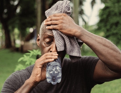 Summer Heat Safety Tips